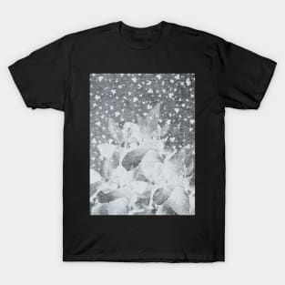 Snowblind T-Shirt